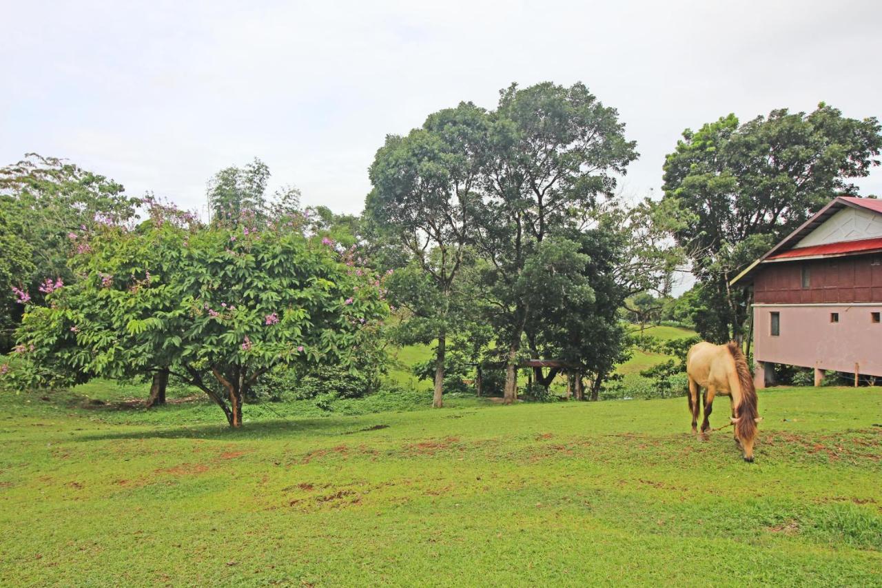 Caliraya Resort Club Lumban Exterior photo